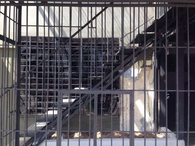 costarica_sanjose_railingseverywhere