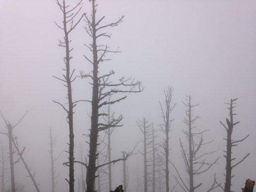 guatemala_acatenangowaydownlandscape