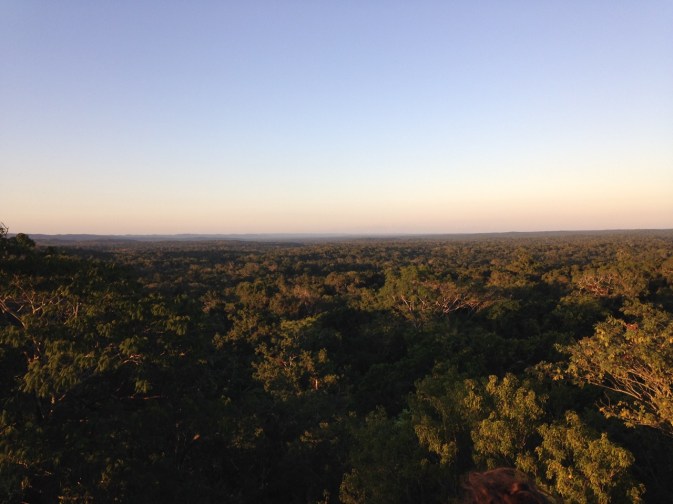 guatemala_tikal_jungleviewfromtemple
