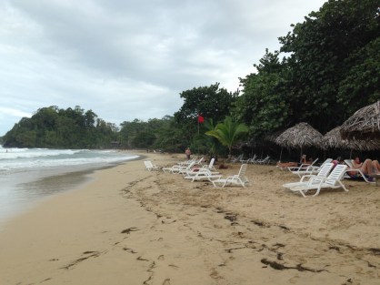 panama_bastimentosredfrogbeach