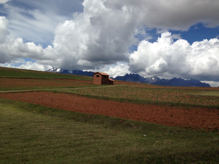 peru_standingoutmaybe