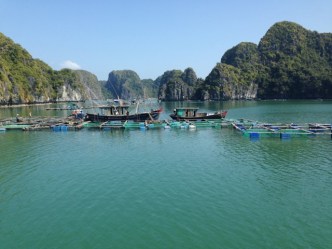 Vietnam_HalongBay_FloatingVillage